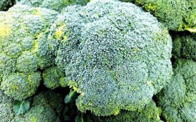 Sulforaphane Benefits: The Superfood Compound with Healing Properties