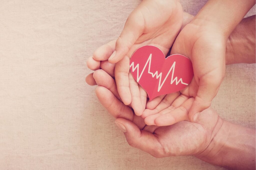 Blog title is Exploring the Health Benefits of Akkermansia Muciniphila Supplement for Gut Well-being & Beyond. Image is of hands holding a paper heart. In the blog I talk about how akkermansia may benefit heart health.